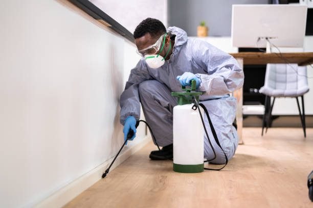 Best Pest Exclusion Services  in Indian River, MI